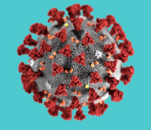 Coronavirus SARS-CoV2